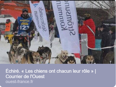Titre de l’article — Les chiens ont chacun leur rôle