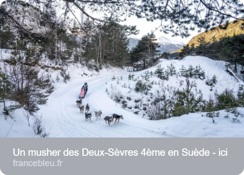 Un musher des Deux-Sèvres 4ᵉ en Suède
