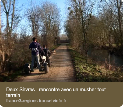 Deux-Sèvres : rencontre avec un musher sur le terrain