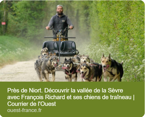 François Richard, musher à Échiré, en balade sur la vallée de la Sèvre