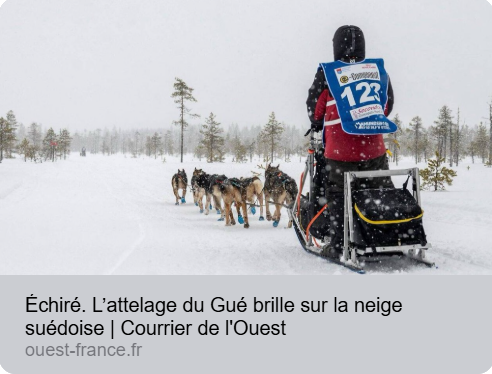 L'attelage du Gué brille sur la neige suédoise